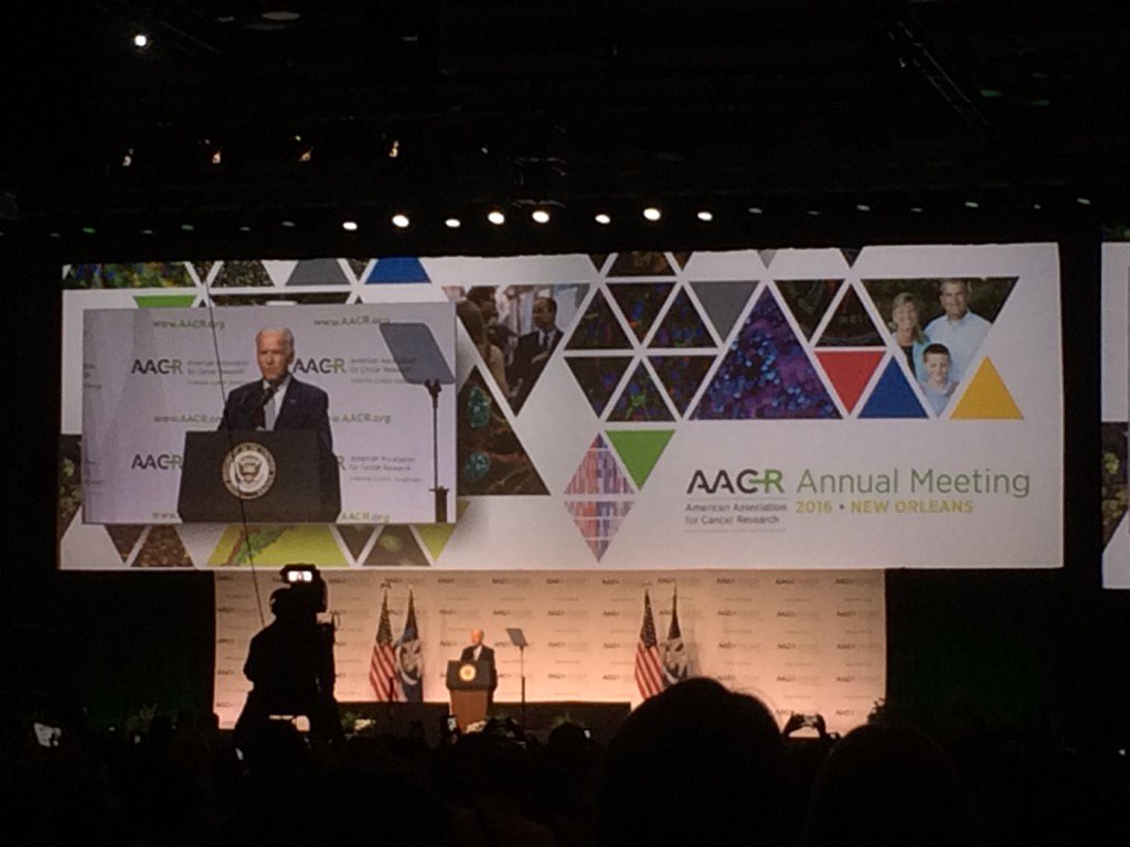 Mace Cheng tweet media