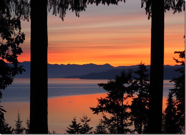 ShannonODKOMO's tweet photo. Stunning #sunrise over Penn Cove this morning, courtesy of Coupeville's Bob Patterson. https://t.co/L2wxm7olUT