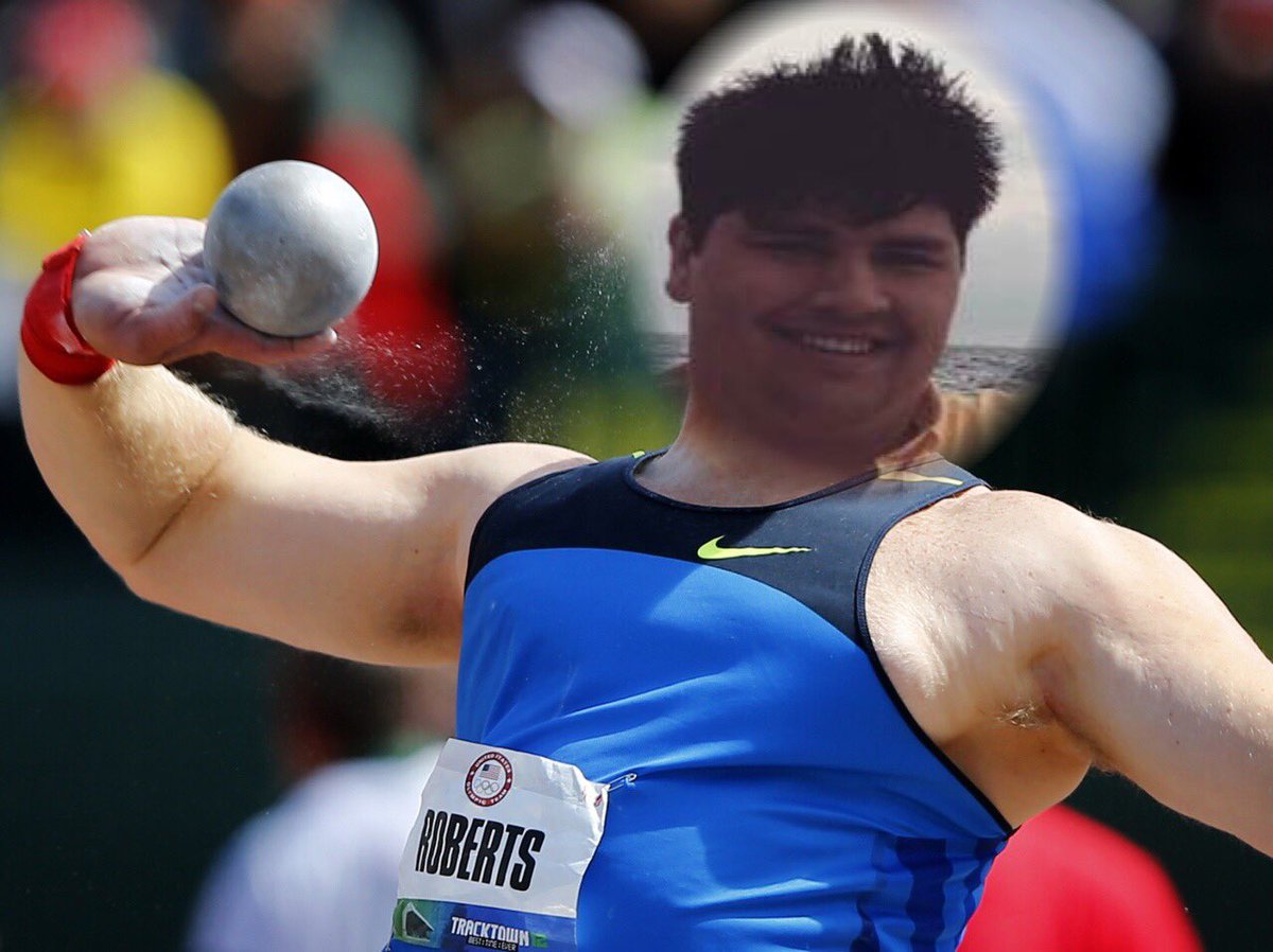 Fake_HarryPybus tweet picture