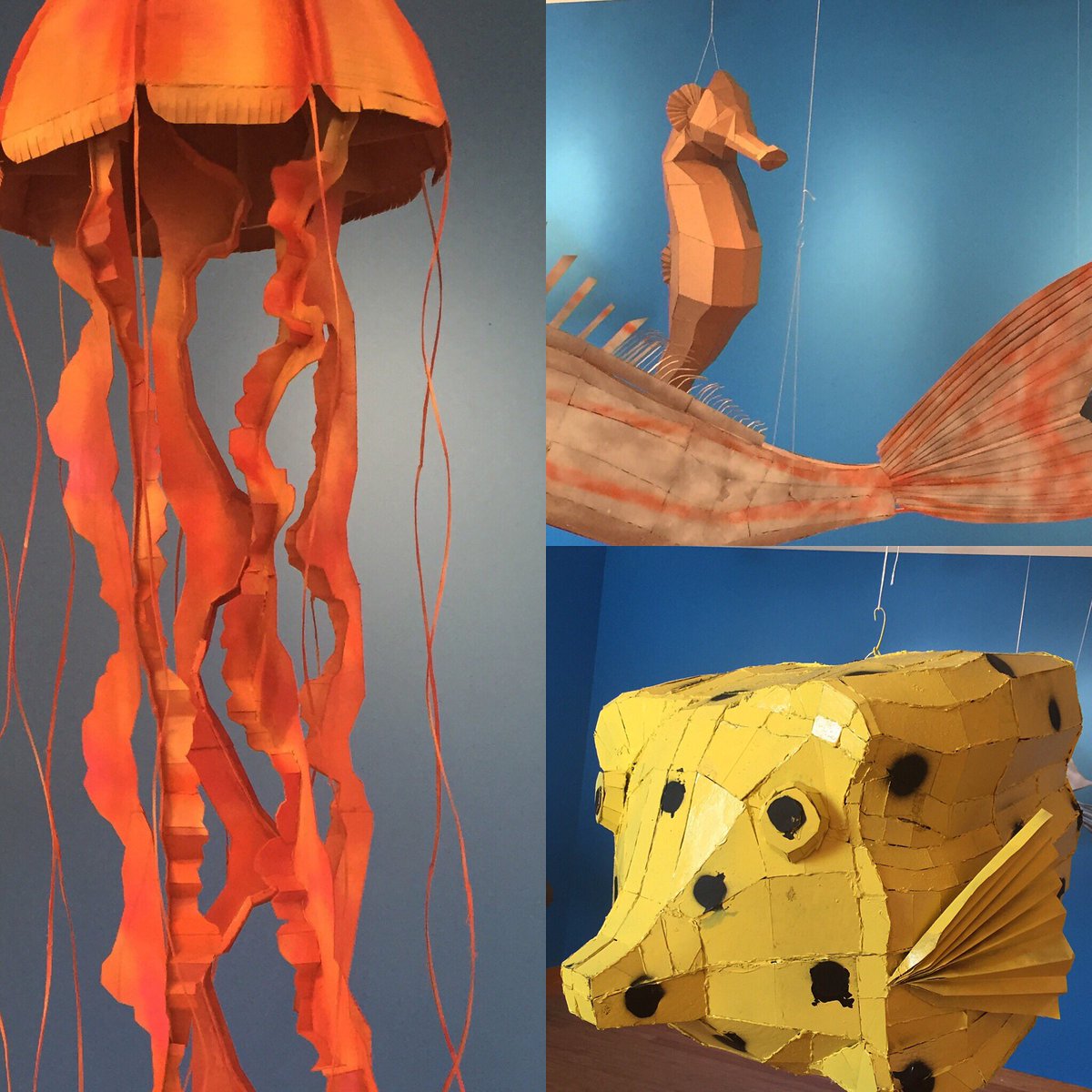 susancoote813's tweet photo. The amazing #hilaryhutchison and her fab students @EA_TheArts #cccgallery as undersea wonderland! The https://t.co/bnjkVqHz0c
