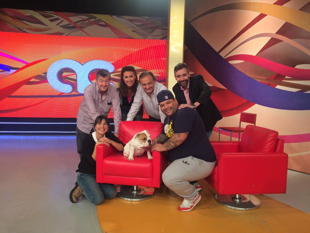Canal4_UY's tweet photo. 🐶❤️ @AlgoContigo4 @Elguccioficial https://t.co/AtELGlij5R