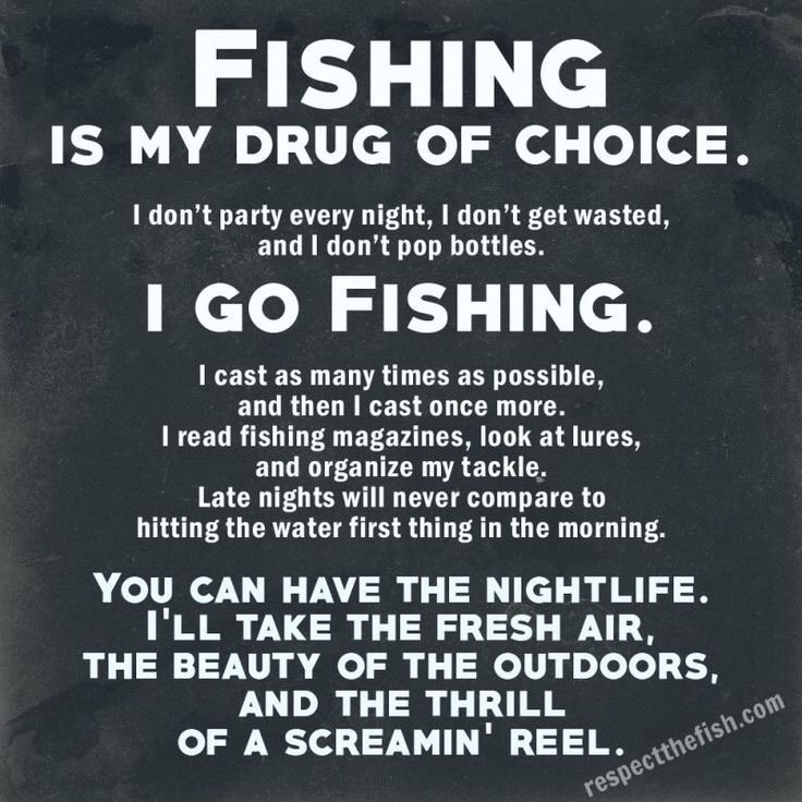 OFC_FISHING's tweet photo. https://t.co/FIB082seac