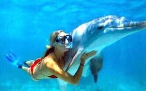 Adventurefull_'s tweet image. Who would do this ?🐋🌊