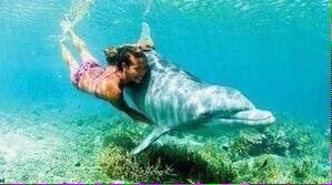 Adventurefull_'s tweet image. Who would do this ?🐋🌊