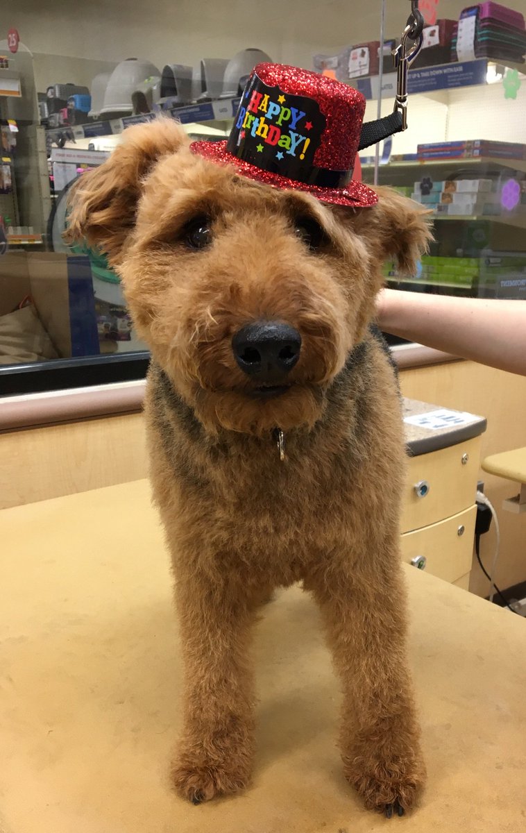 Petsmart #1461 tweet media