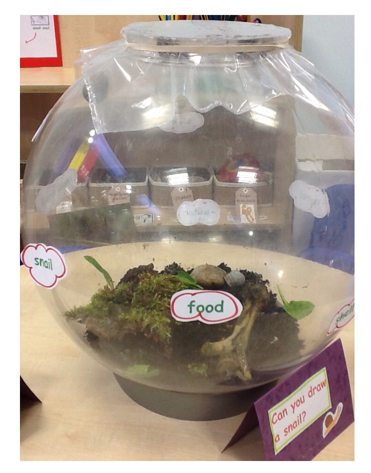 StThomasGbn's tweet photo. Snails in reception https://t.co/Gc72qJmps6