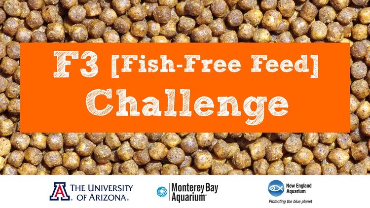 Iamherox's tweet photo. 10 days left to register in #FishFreeFeed Challenge $128k to go to top fish-free recipe sold https://t.co/K1spA4EnQY https://t.co/KqhVlnvK6b