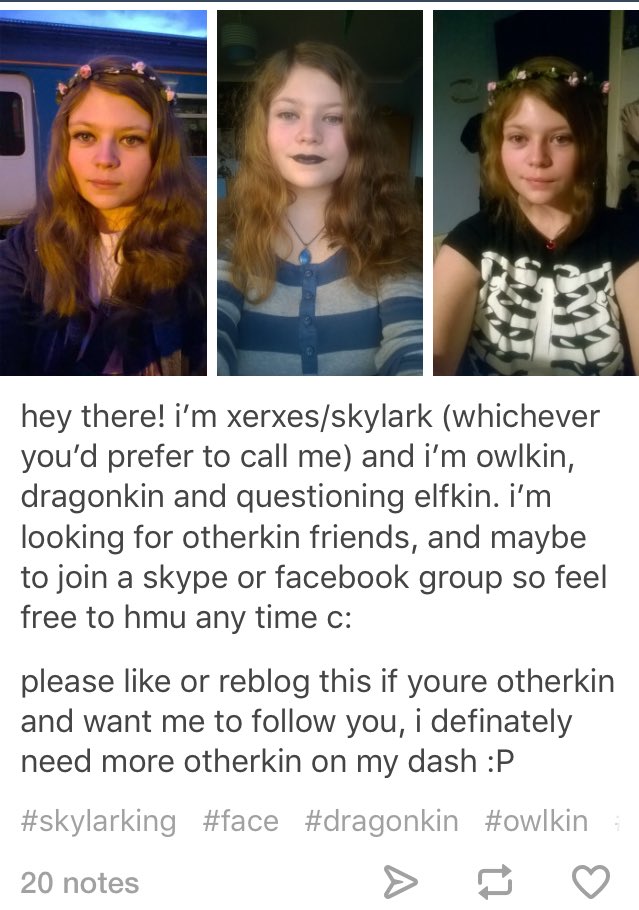 nerfherder73's tweet photo. @FeministShit @GentlemanRascal 
#owlkin #dragonkin
#elfkin https://t.co/95ZN45lOyQ