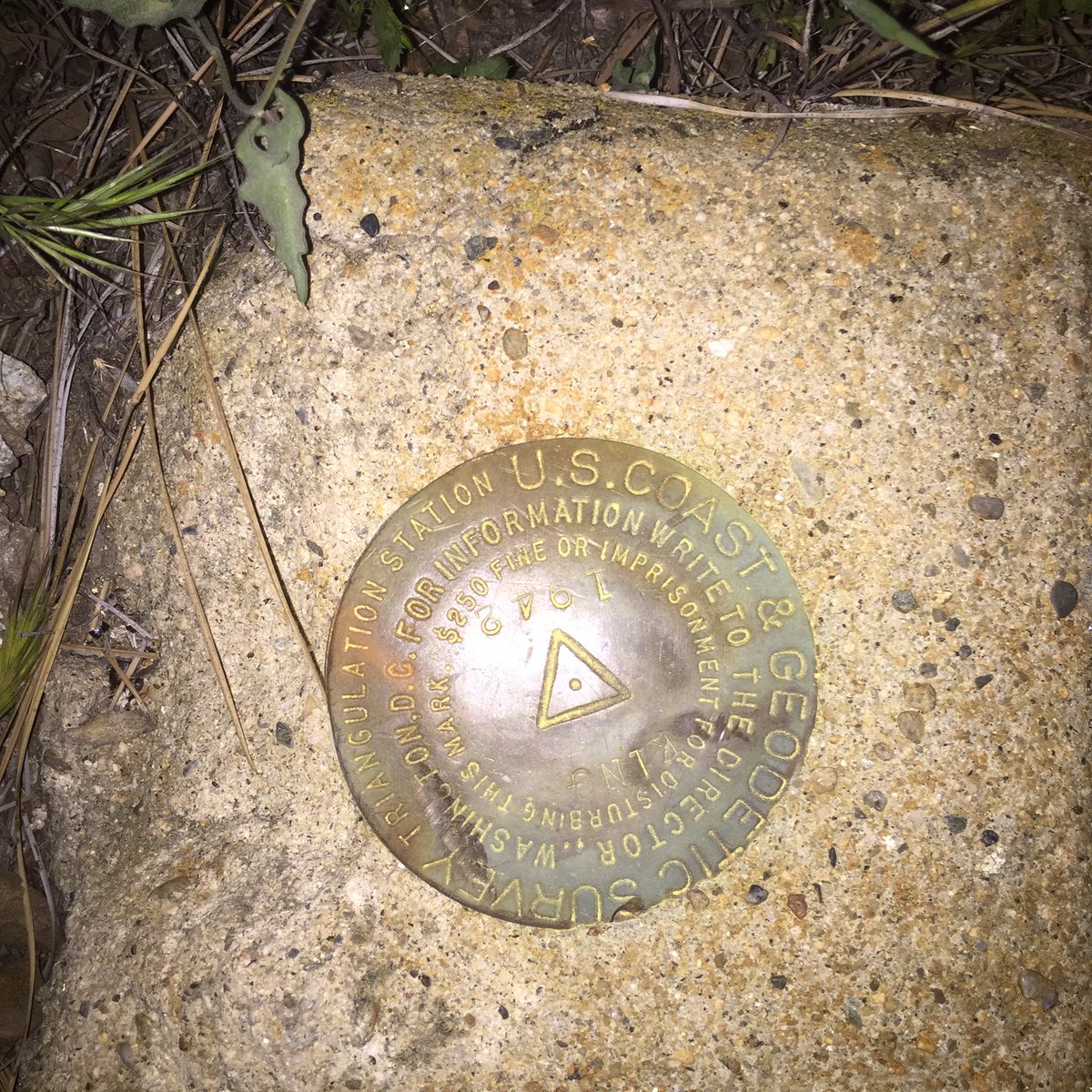 SeanCasserly's tweet photo. On the summit of Table Mountain #CountyHighPoint #summitswagger https://t.co/42ChNEivBh