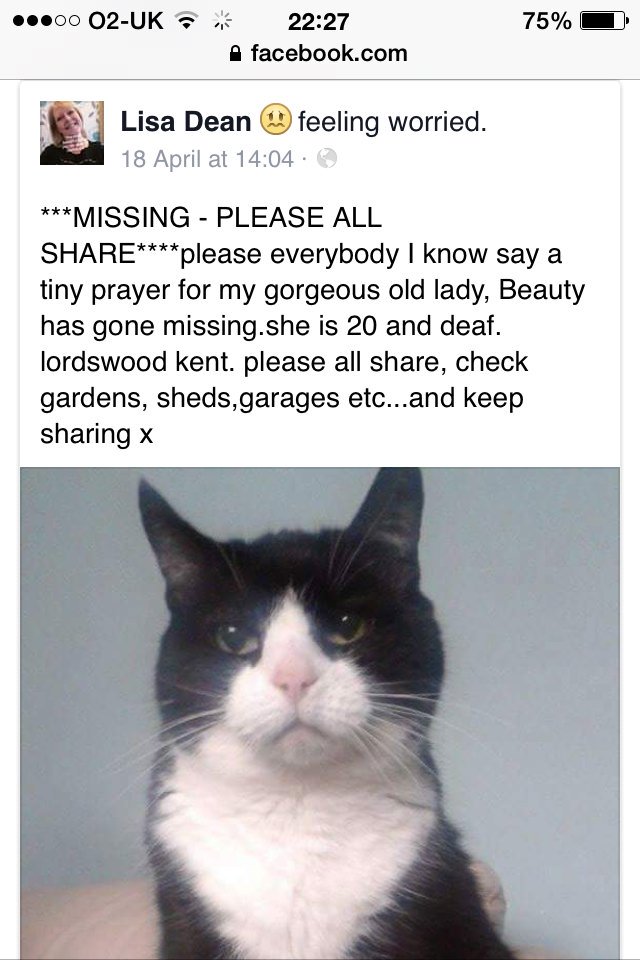 MissingPetsGB's tweet image. 20 year old deaf cat missing #Lordswood #Kent @DoglostUK @LostboxUK @FurbabiesUk @HunnyJax @HelpFindThem14 x TY