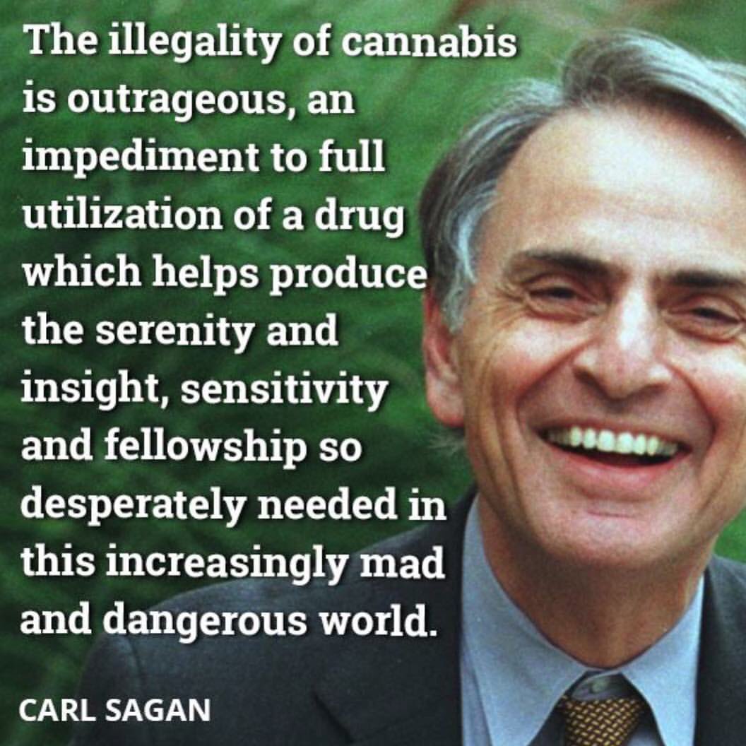 carpejimbo's tweet image. Can we please legalize marijuana? #FederalLegalization #Happy420