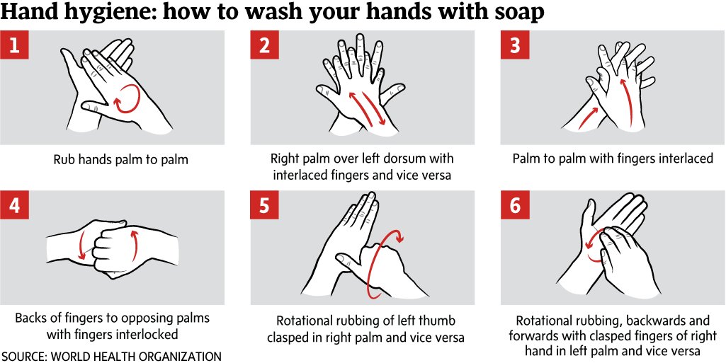 globeandmail's tweet photo. The WHO's six-step hand-washing guideline could lead to cleaner hands and a healthier you: https://t.co/F8HAjXCSqQ
