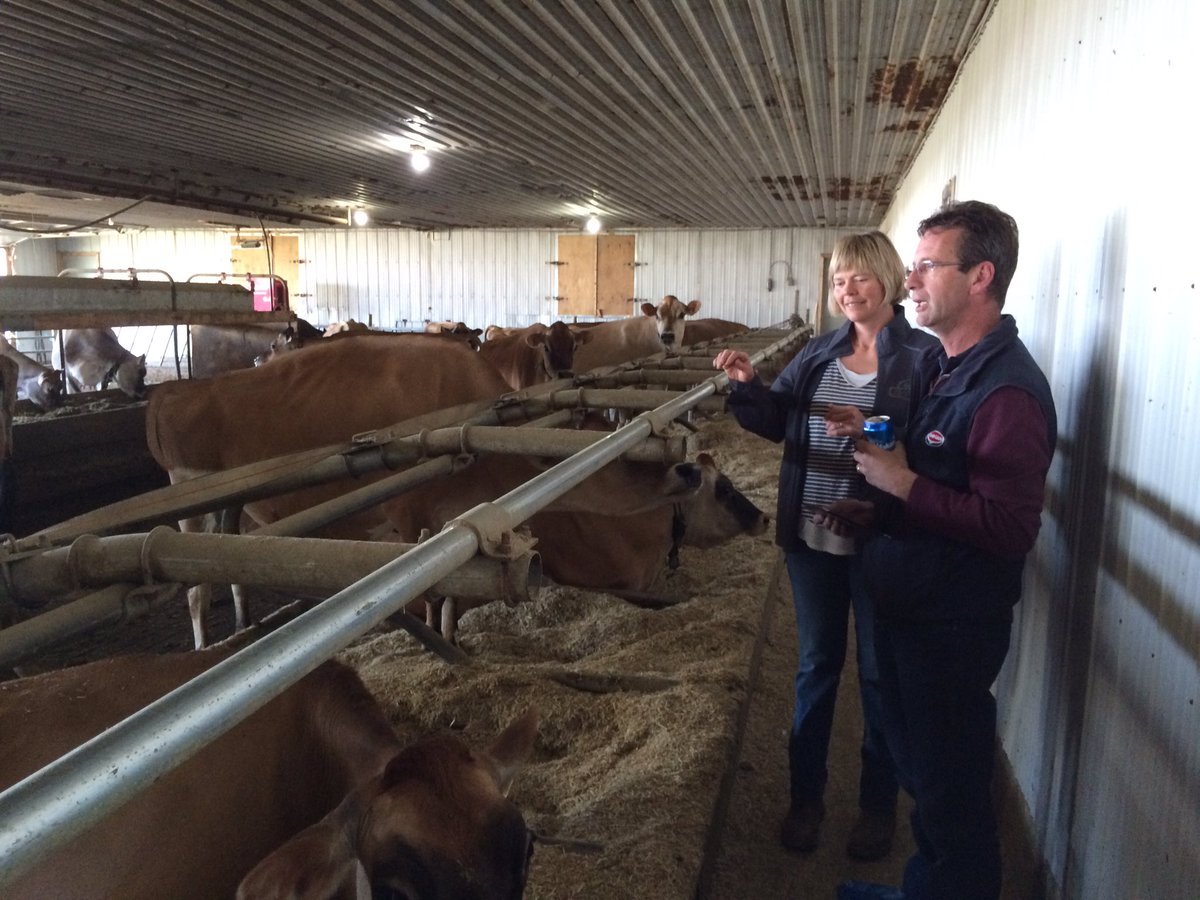 LONE PINE: Beautiful barn full of Jerseys and a large group are at the show on Calgary. Great people and great cows
