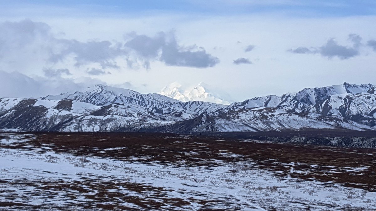 DenaliNPS's tweet photo. Come on out and #FindYourPark @Denali. Lots to see, even on overcast days #theMountainisOut #SpringinAK https://t.co/iYcEYHRuEd