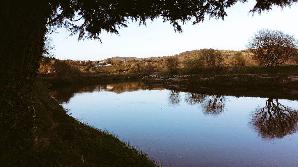 NatureIreland's tweet photo. https://t.co/ekEc9HZjIh