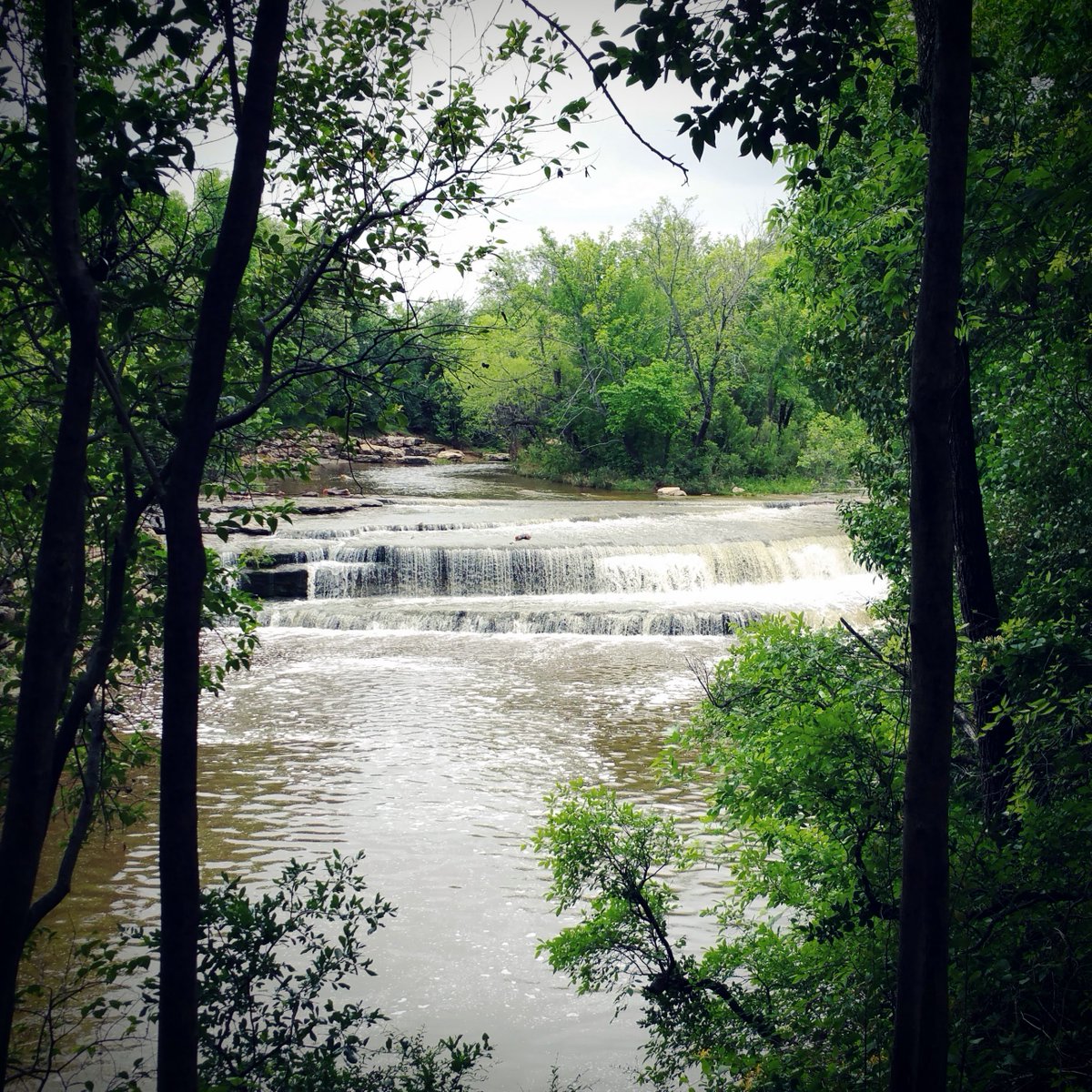 Trinity Trails tweet media