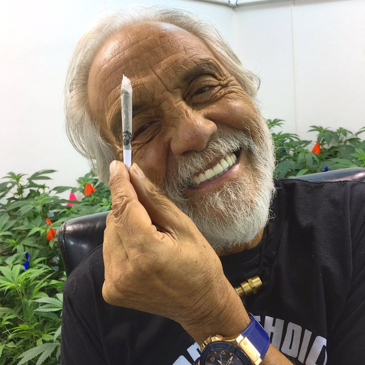 tommychong tweet picture