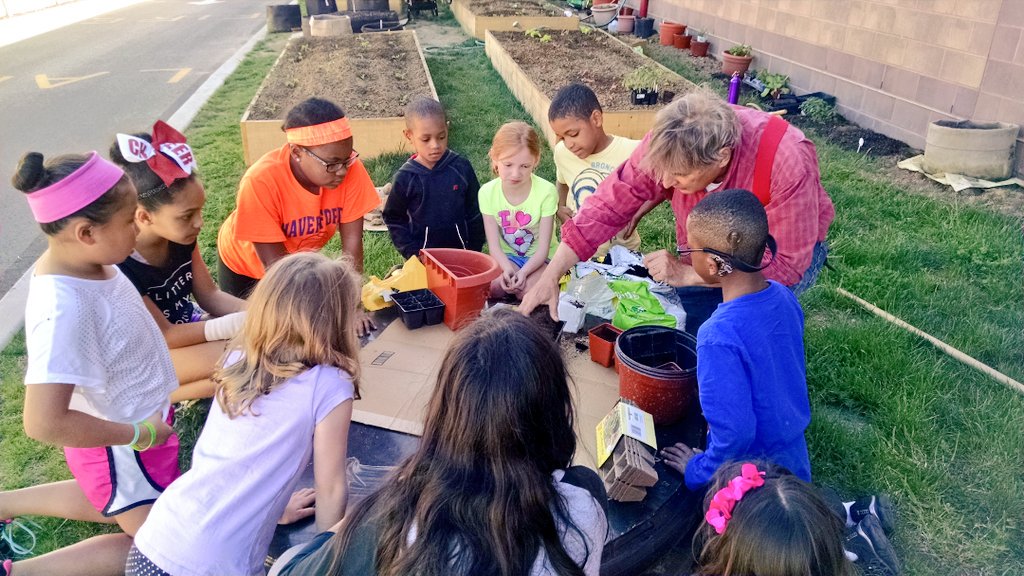 skilleenymca's tweet photo. SACC learns all about the garden and plants sunflower seeds with Mr. Randy! @davidmullin18 @SheaTrog @ymcahav15 https://t.co/gchjzaedRc