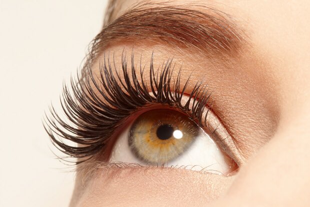 Last minute lash appts still available for tomorrow - 20% all sets! 604.560.8040 #lashextensionssouthsurrey