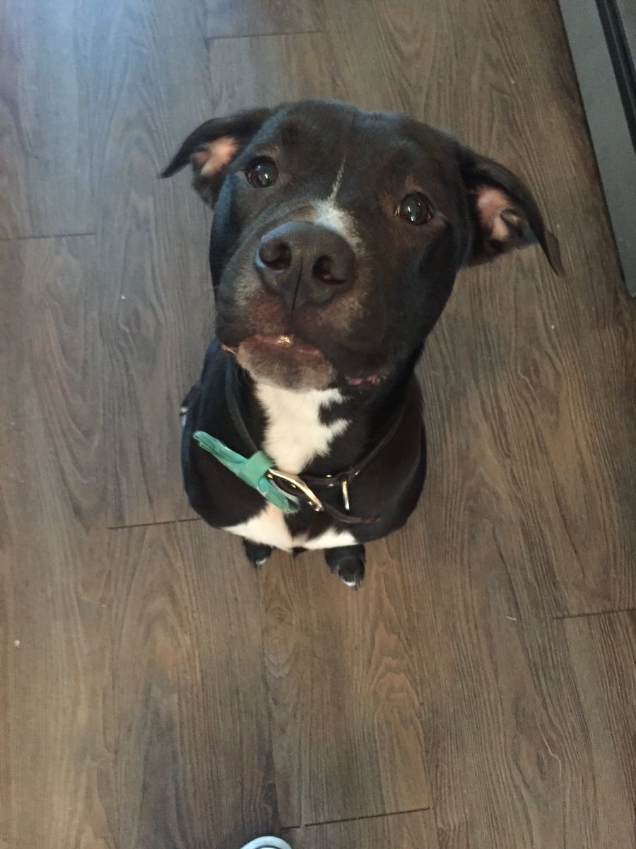 DanielWenum's tweet image. Can we all just stop and take a minute to admire my baby boy