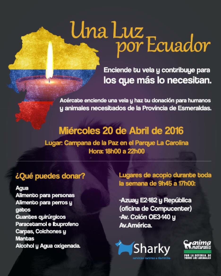 Jenicitavera's tweet photo. Una luz por Ecuador! #FuerzaEcuador  hoy esperan su contribución en la Campana de La Paz, parque La Carolina (22:00) https://t.co/BxBOiK049Z