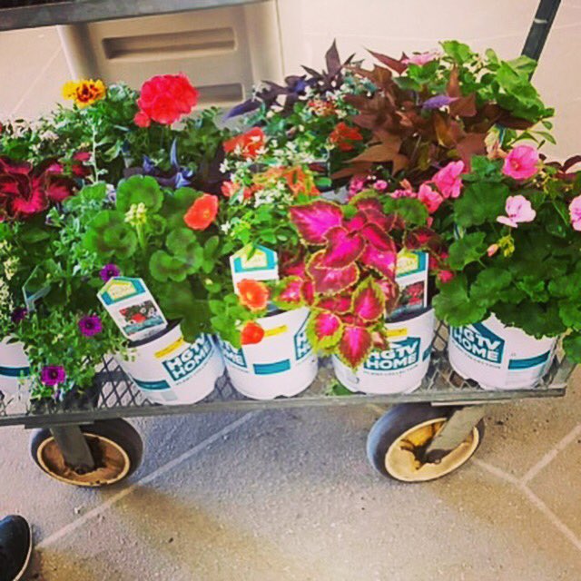 agricolaknows's tweet image. Getting ready for some planting at Ronny's Garden World in Smyrna, DE #onestepstyle #hgtvhomeplants