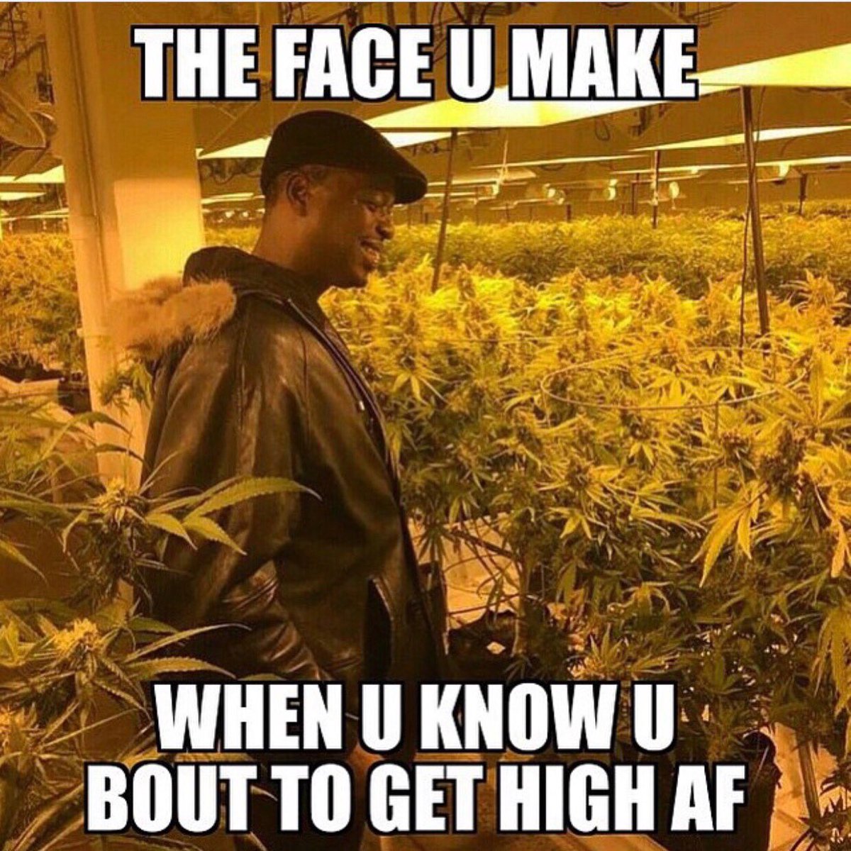 Devin The Dude tweet media