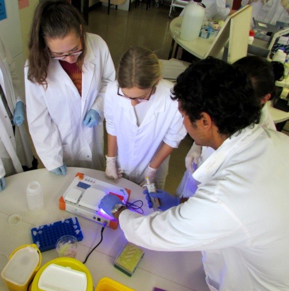 Bento Lab 🧬 tweet media