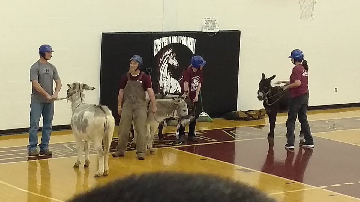 Donkey basketball <a href="/EMHSMustangs/">Eastern Montgomery High School</a> <a href="/EMESMustangs/">EastMont Elementary</a>