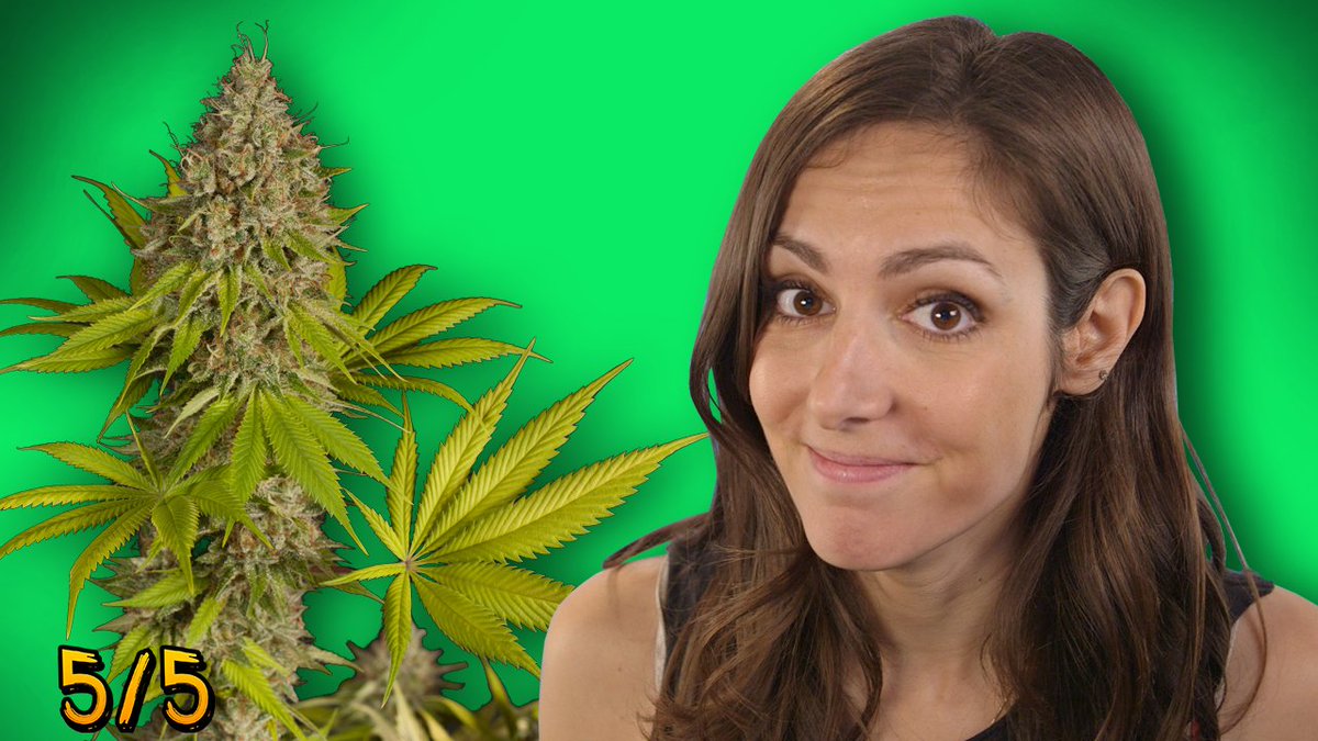 EqualsThreeShow's tweet image. Hey, #Happy420! Celebrate by watching new 5/5 "Top 5 FACTS About Weed" with @kellylandry bit.ly/22OVt0Y