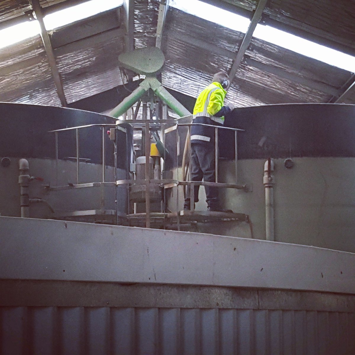 GladfieldMalt's tweet image. #Sam working at the steeps ensuring smooth loading of Kiln 2 #lovegladfield #backgroundwork #welovewhatwedo