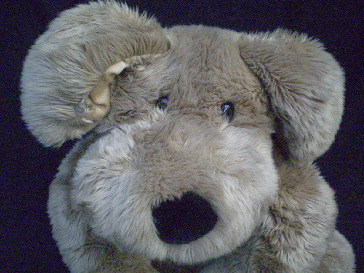 STEEL5757's tweet photo. Commonwealth GIANT Dog https://t.co/AZesIPJq8K?  #kids #globaltoys #stuffedanimalcollection https://t.co/GTiE1HLVUH