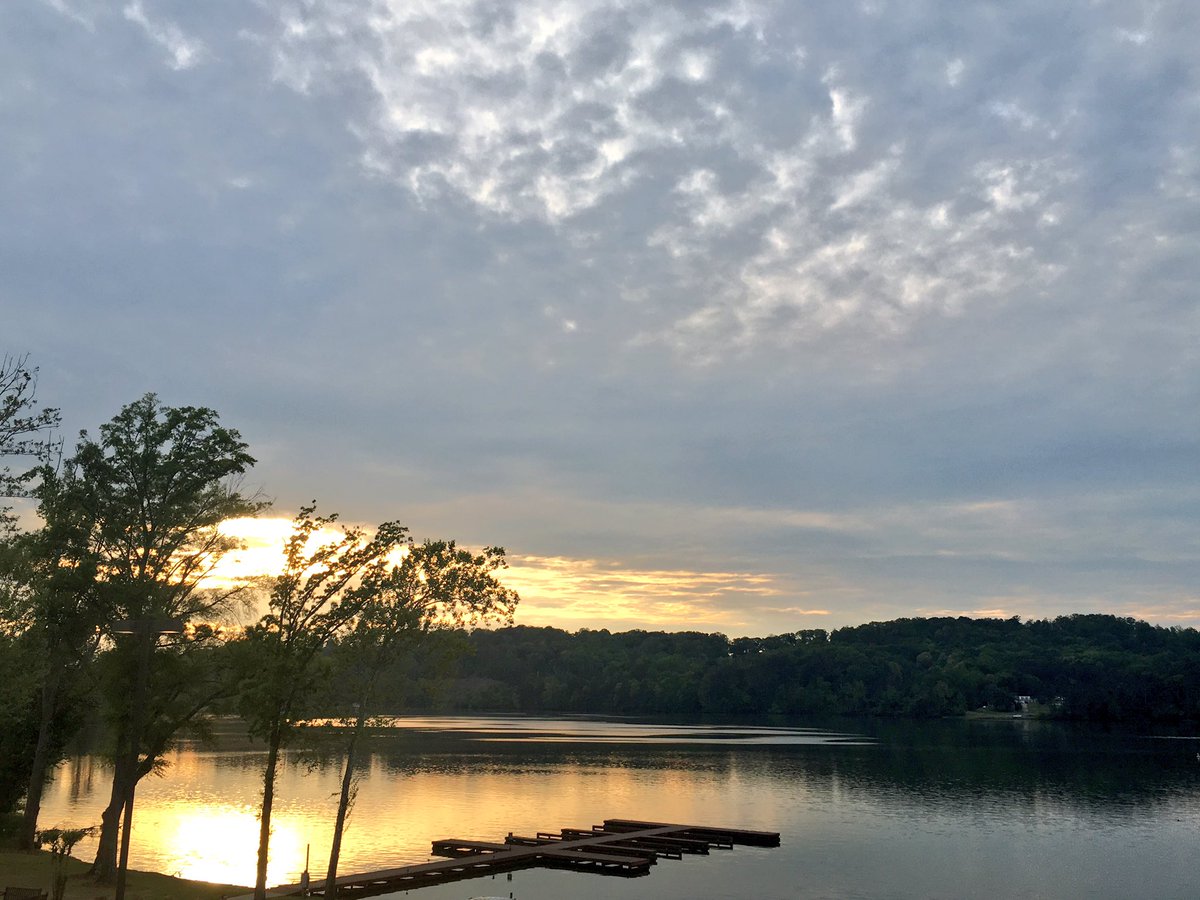 Eva Shockey Brent tweet media