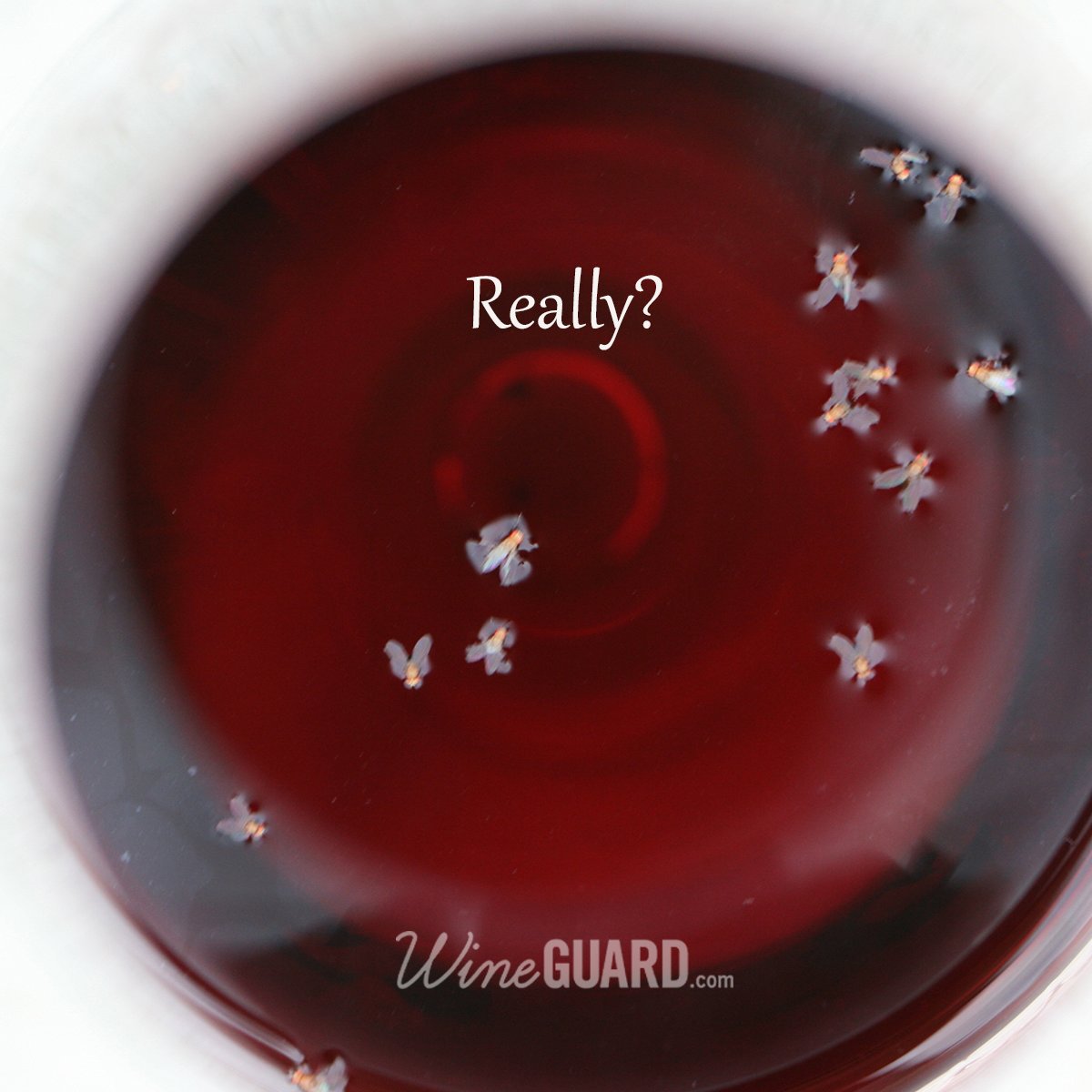 thewineguard's tweet image. This is no way to drink your wine #WineGuard #byebyefly #gross