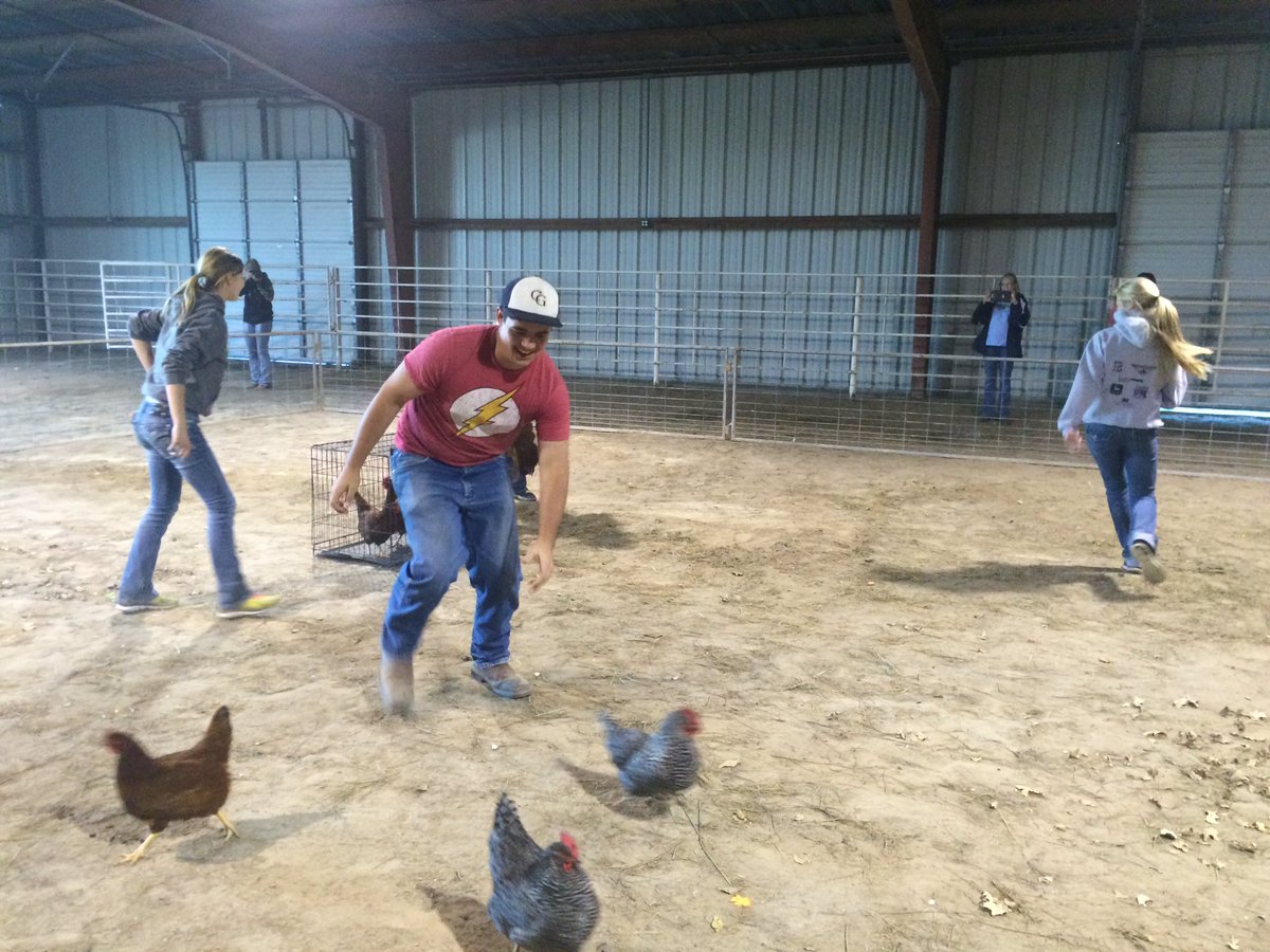 cghsFFA's tweet photo. We love chicken catching here at the barnyard olympics! 🐔 https://t.co/jeM1rU0Iym