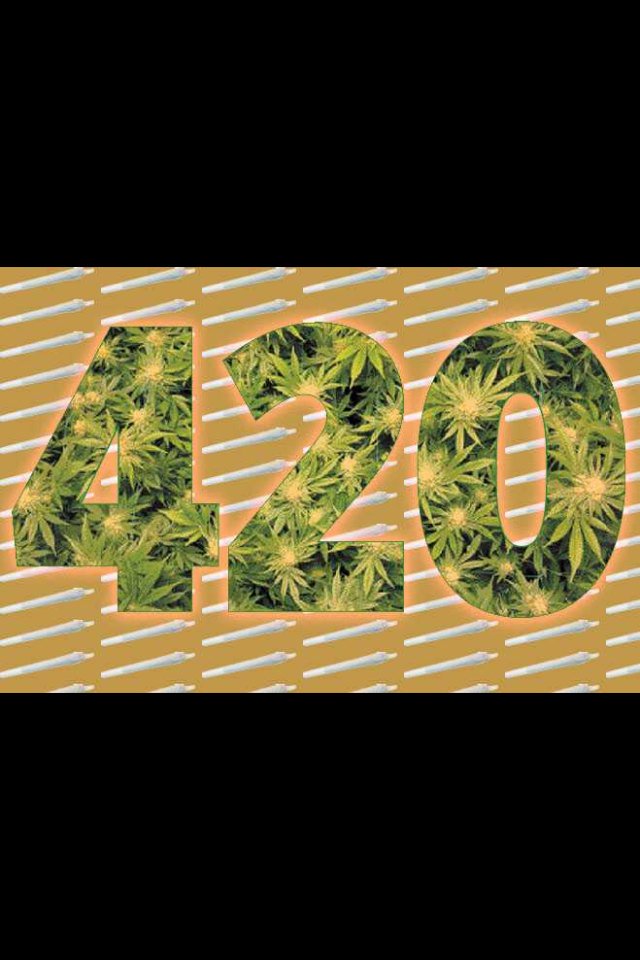 hunter_sk8's tweet photo. Happy 420 day stay blazed 👌🔥🚬💸🔥🚬💸🔥🚬💸👌 https://t.co/5apBjB9dMq
