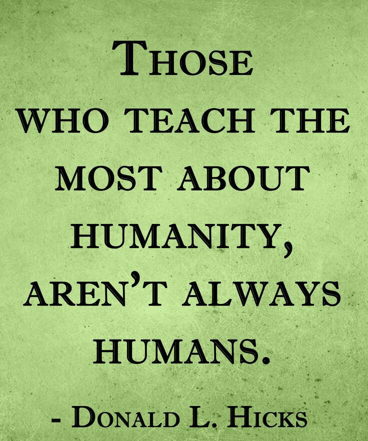 bambinibandits's tweet photo. Exactly! Dogs are amazing! # humanity #DogLovers https://t.co/oT2hk3TMSb