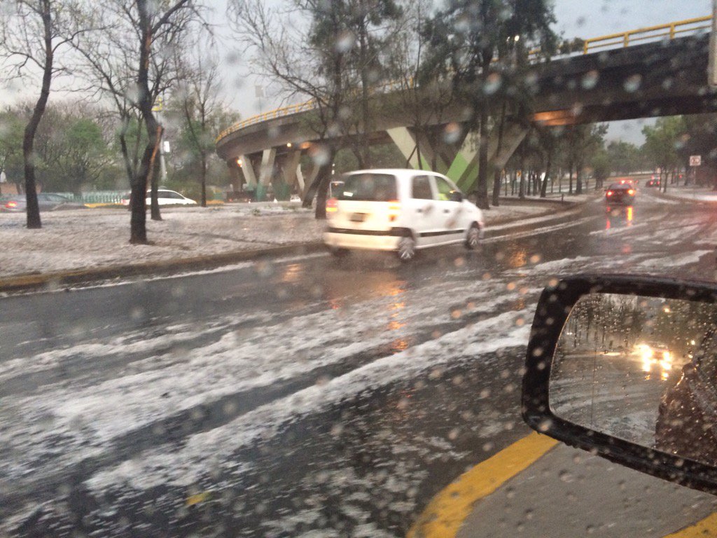 Alebrijes Ft (@alebrijesft) on Twitter photo 