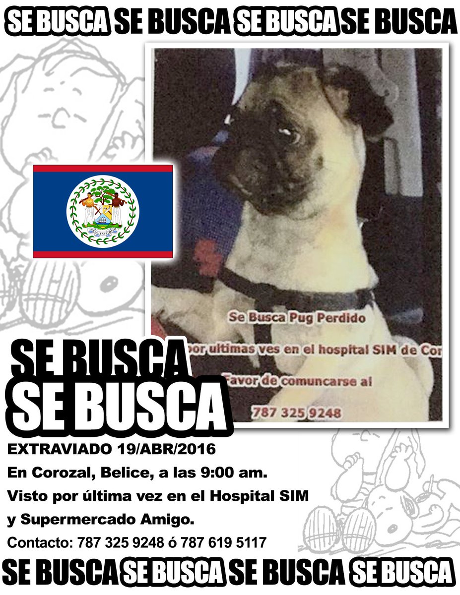 fellpudito's tweet photo. #EXTRAVIADO en #Corozal #Belice #Visto por รบltima vez en el #HospitalSIM y #SupermercadoAmigo Abr 2016 https://t.co/aR3Hop9MUw