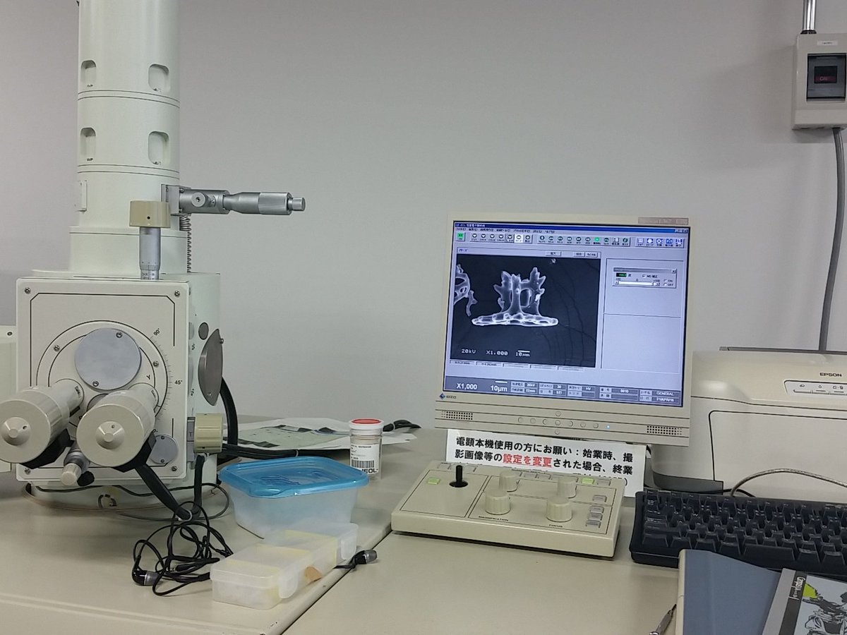 abewoo's tweet photo. Scanning is fun, yet boring. But keep the passion flowing! https://t.co/qMdySSKqGz
