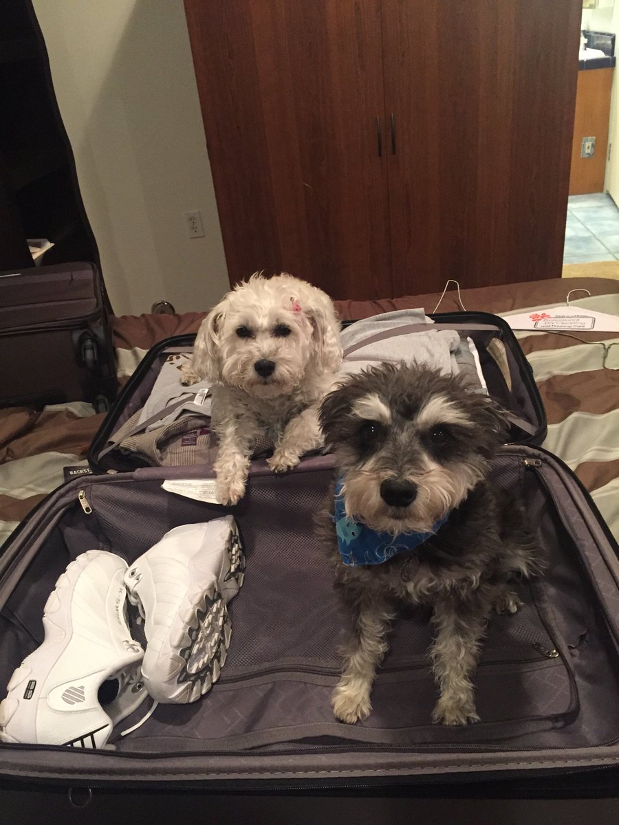 We're coming with you and that's that! https://t.co/F1JPRxiSNR