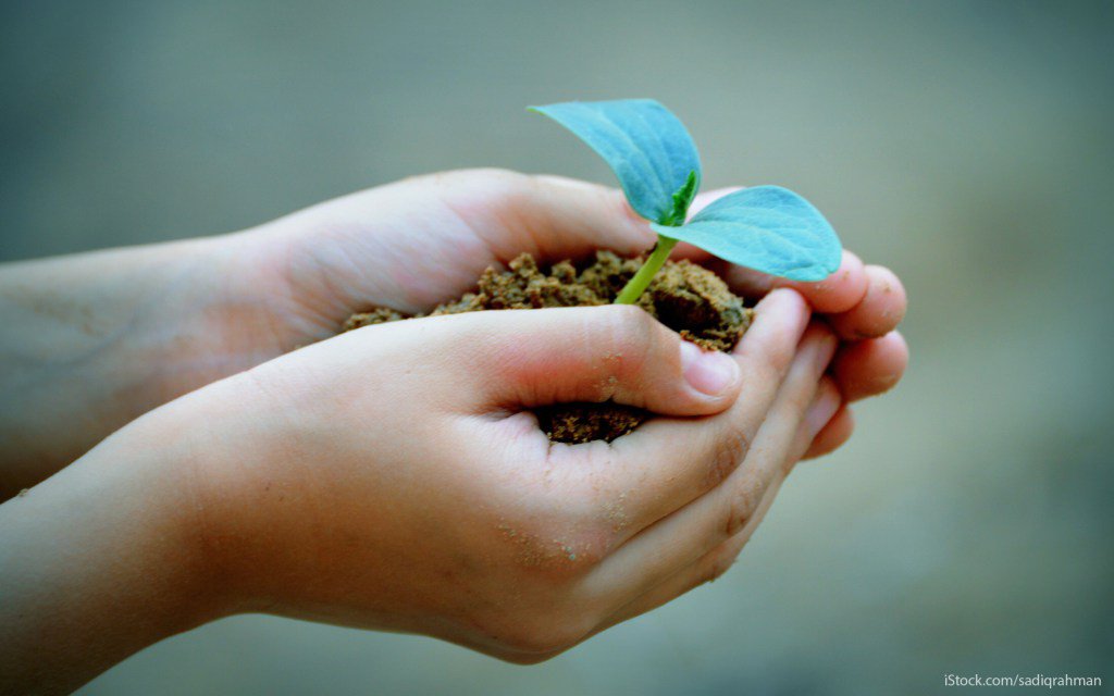 feedree's tweet image. 24 Best Earth Day 2016 Freebies, Deals and Discounts feedreeblog.wordpress.com/2016/04/21/24-…