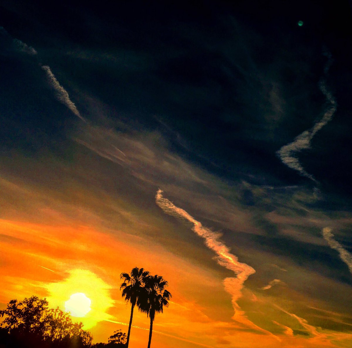 ANTHOVEEE's tweet photo. From dusk till Dawn ...#skyscraper #nocturnal #universal https://t.co/m6ds1DcLFW