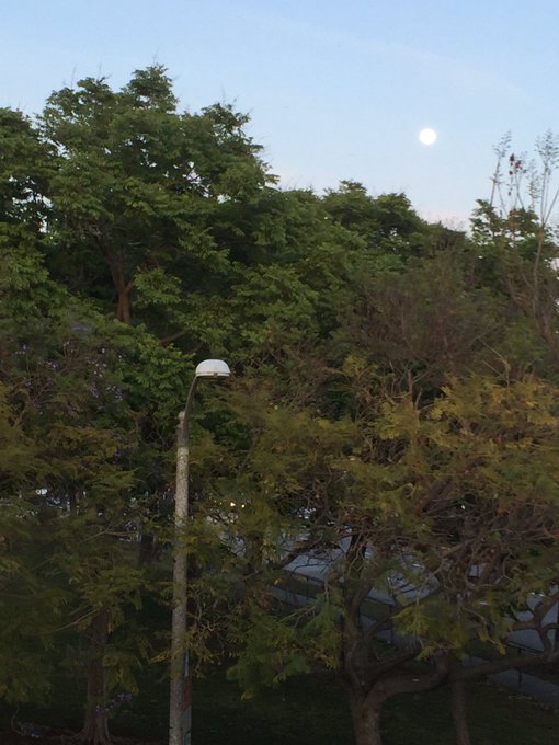 Almost full moon :0) https://t.co/tHE198D8lE