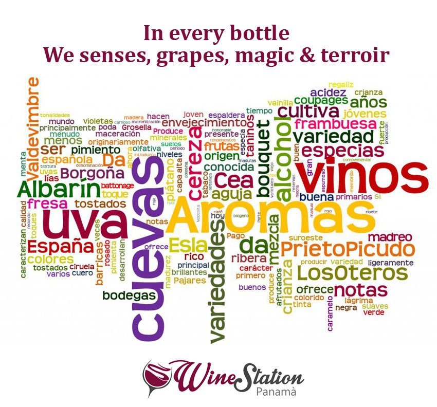 WineStationPTY's tweet photo. En cada botella de vino ponemos los sentidos,las uvas,la magia,el terroir.No dejes de probar y vivir la experiencia. https://t.co/zV71WnyJx9