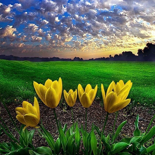 chaebae's tweet photo. Wisconsin Horizons by Phil Koch. 📷: @kochphil
#crossfit #crossfitgirls #crossfitgames #bodybuilding #bodybuildingmo… https://t.co/R2ZSb082UG