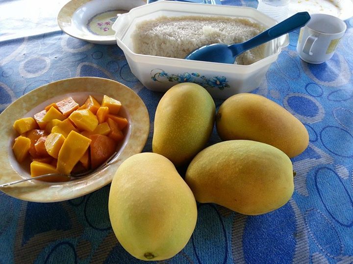OhMyPerlis's tweet photo. Mempelam harumanis #OnlyInPerlis https://t.co/lq1MQf6pBx