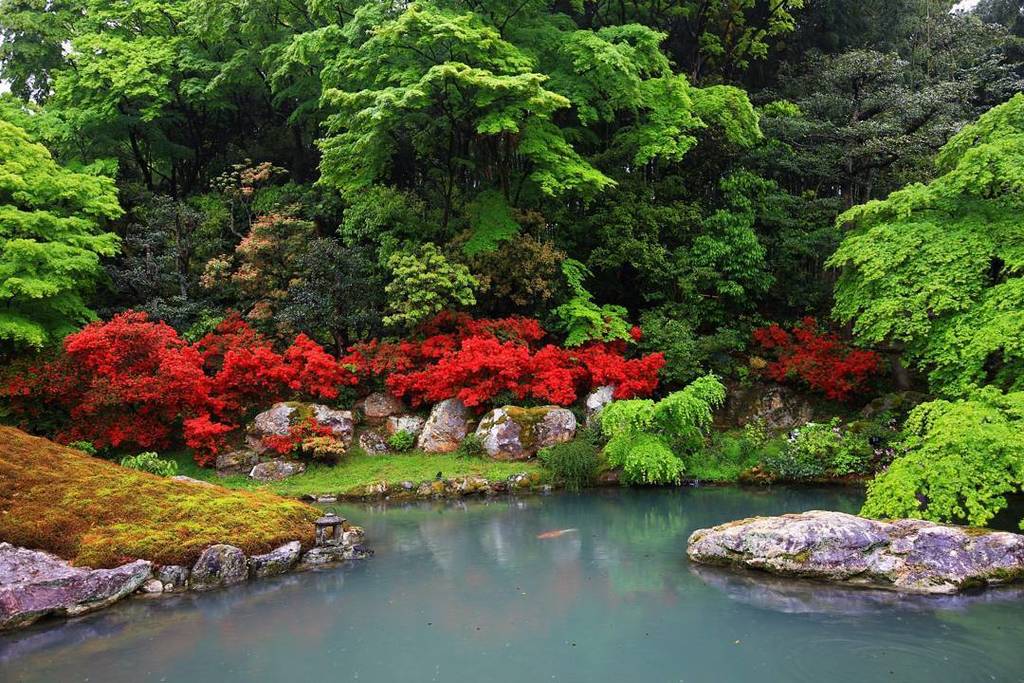 つつじが美しい京都の寺社10選 おすすめスポットを厳選