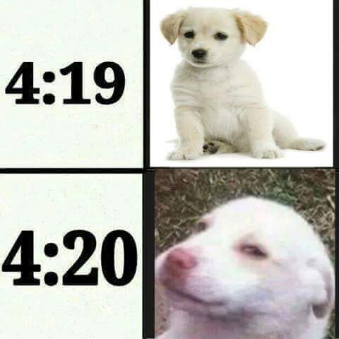 конопля 420. 4 20 картинки. 4 19 4 20 мем. что обозначает 4 20. что обозначает 4 20.