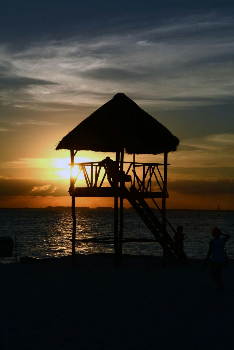 IslaAlDia's tweet photo. La Foto del Día por Marco Rodríguez https://t.co/VxmmNVhv65 #IslaMujeres #QuintanaRoo https://t.co/6MuBlX3Wlw